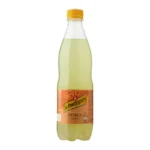 Schweppes Citrus Mix – 0,5l